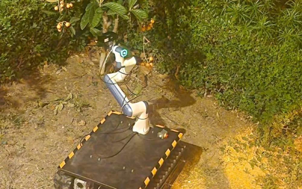 MIS-AGRO saha hasat operasyonu